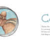 In Schiffer Publishing, Ltd.’s Wild Animal ABC, see Chester the Chipmunk in a knitted hat through a magnifying glass beside the letter “C,” with a playful rhyme about his curious adventures.