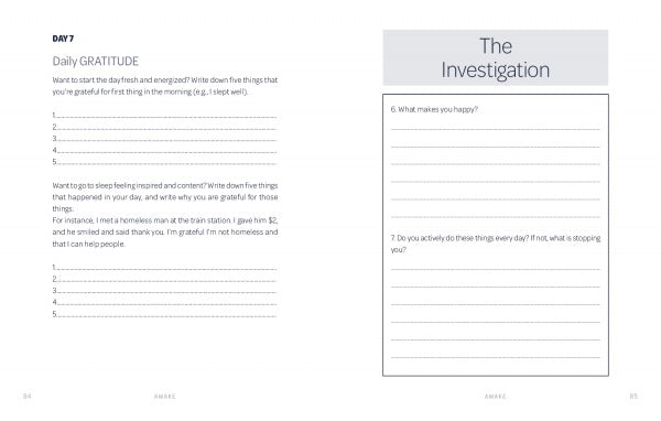 Awake by Schiffer Publishing, Ltd. features a two-page journal spread: the left page prompts daily gratitude and nightly reflection with numbered lines; the right includes two self-reflection questions and space for your responses.