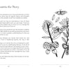 A book spread from "The Intuitive Adventure" by Schiffer Publishing, Ltd. features text about changing perspectives and rewriting personal stories on the left, and a floral with butterflies illustration on the right.