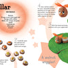 Nature" by Schiffer Publishing, Ltd. offers step-by-step photo instructions to create a caterpillar craft with a green dried apple leaf, painted walnut shells, and orange raffia—includes supplies, guidance, and examples to enhance children's fine motor skills.