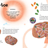 Schiffer Publishing, Ltd.’s "Nature" guide teaches kids to craft a Tic-tac-toe set using painted orange squash and pebbles—fun, nature-inspired projects that boost fine motor skills with easy steps for painting lines and dots.