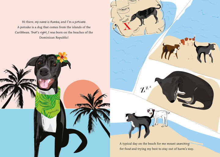 Rescuing Rumba" by Schiffer Publishing, Ltd. is an illustrated storybook featuring a smiling black dog with a flower by her ear. Follow Rumba as she searches for food, rests, and plays with friends on the beach, shown alongside palm trees and a map.