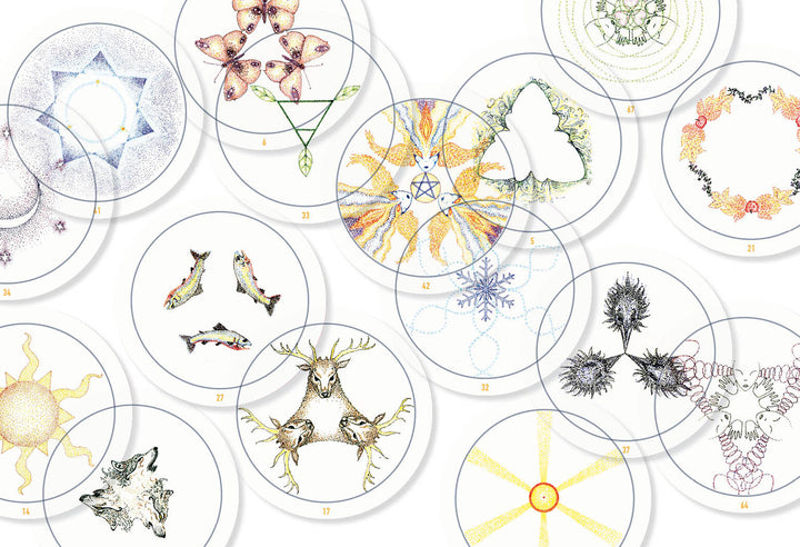 Schiffer Publishing, Ltd.'s Transparent Oracle features circular cards with intricate, colorful designs—animals, plants, geometric patterns, and abstracts—scattered and overlapping on a white background.