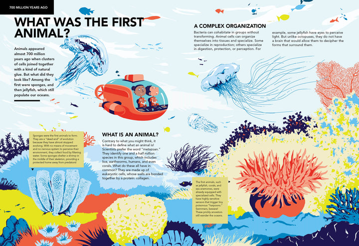Evolutions by Schiffer Publishing, Ltd. depicts a vibrant underwater scene with sea creatures and a submarine of three children, exploring the origins and complexity of early animals—ideal for an illustrated evolution book.