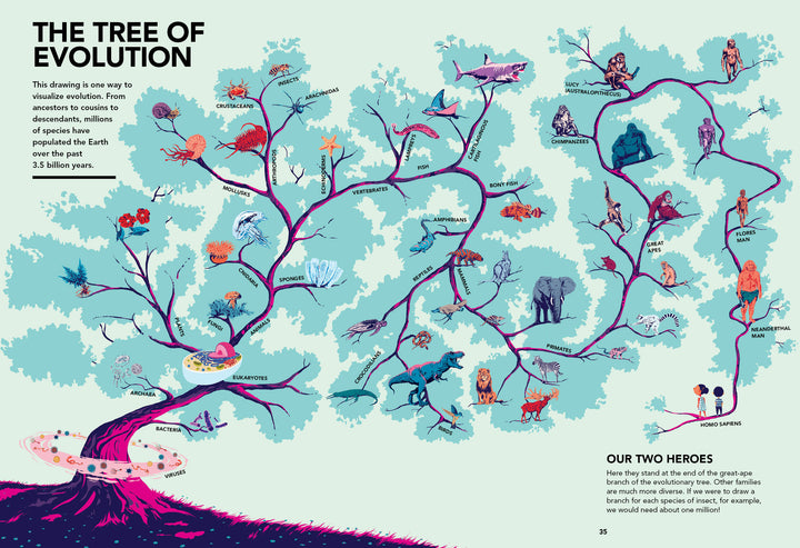 Evolutions" by Schiffer Publishing, Ltd. features vibrant cartoon-style illustrations of the tree of evolution from bacteria to humans, with labeled paths—an engaging visual guide for teaching the history of life on Earth.
