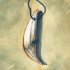 A card from the "Between the Worlds" oracle deck by Schiffer Publishing, Ltd. shows a coyote tooth pendant on a black cord, number 17 in the top right, "Coyote Tooth" at the bottom, and a muted tan background.
