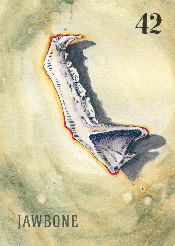 A watercolor jawbone with gray and purple outlined teeth features the number 42 at the top right and "JAWBONE" below. From Between the Worlds by Schiffer Publishing, Ltd.—ideal for oracle or divination card collectors.