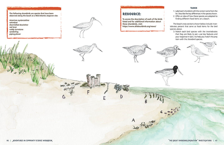 The “Adventures in Community Science Workbook” by Schiffer Publishing, Ltd. features a sandy beach illustration with labeled shorebirds, sandcastles, small plants, bird sketches above the shoreline, tasks, and a resource box on the right.