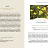 A two-page spread in "The Art of Flower Therapy" by Schiffer Publishing, Ltd. presents the Bach flower remedy Fear with a yellow flower photo, listing remedies and prompts on one page and describing the flower’s energy healing properties on the other.