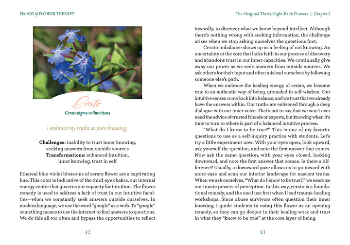 A book spread from "The Art of Flower Therapy" (Schiffer Publishing, Ltd.) shows text and a photo of centaury flowers, discussing centaury essence, Bach flower remedies, related challenges, and embracing one’s truths.