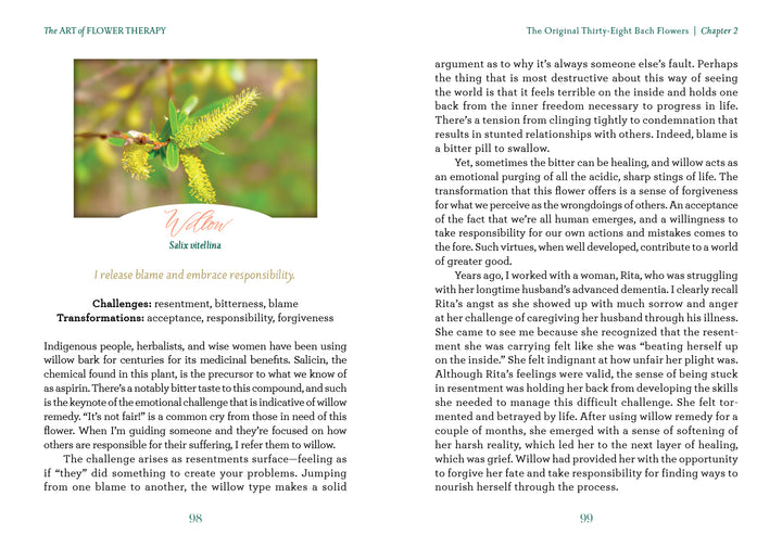 A spread from "The Art of Flower Therapy" by Schiffer Publishing, Ltd. shows a willow branch with green leaves and yellow catkins, discussing the willow flower’s symbolism of blame and its use in Bach remedies for emotional balance.