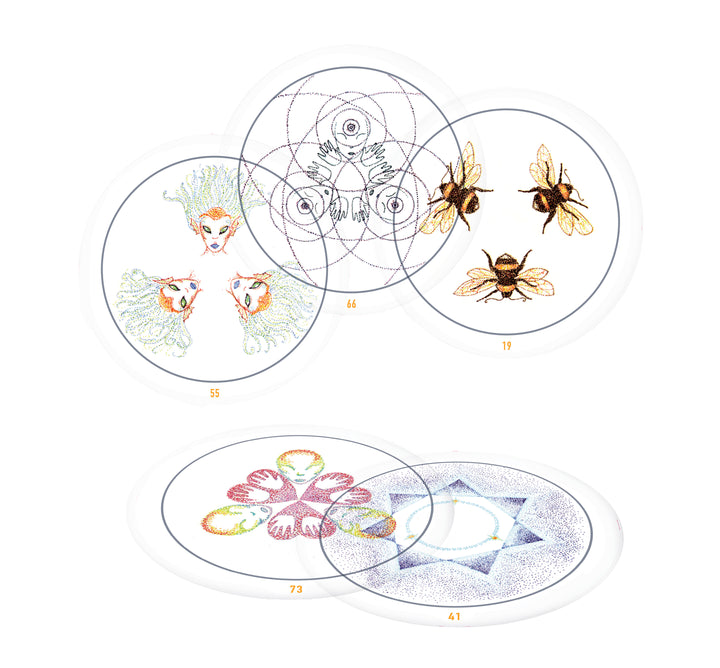 The Transparent Oracle by Schiffer Publishing, Ltd. features five oval, numbered transparent cards with unique illustrations: fairies, bees, a flower geometric pattern, petal-surrounded faces, and a blue star motif.
